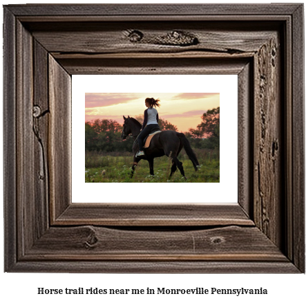 horse trail rides near me in Monroeville, Pennsylvania